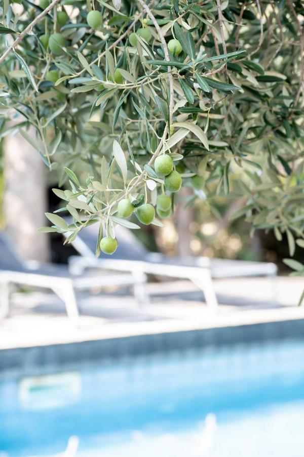 Beach Boy & Pool Girl Apartments Vir Extérieur photo